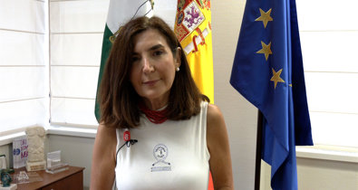 Vídeos