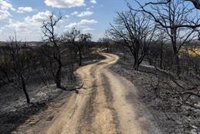 Los montes de la Sierra Oeste se recuperan tras el incendio con la aprobación de más puntos de agua y alimentación