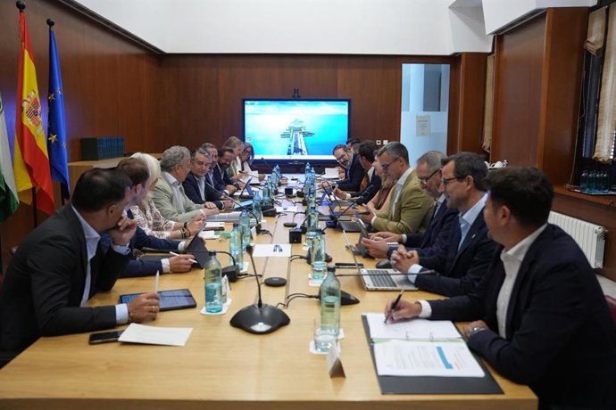El vicepresidente primero y consejero de Presidencia, Sanidad y Emergencias, Antonio Sanz, ha presidido la reunión con los delegados del Gobierno de la Junta.