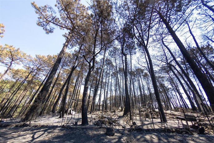 Instalaciones del camping Fuente Helecha afectadas por el fuego, a 6 de agosto de 2026, en Casavieja, Ávila, Castilla y León (España)
