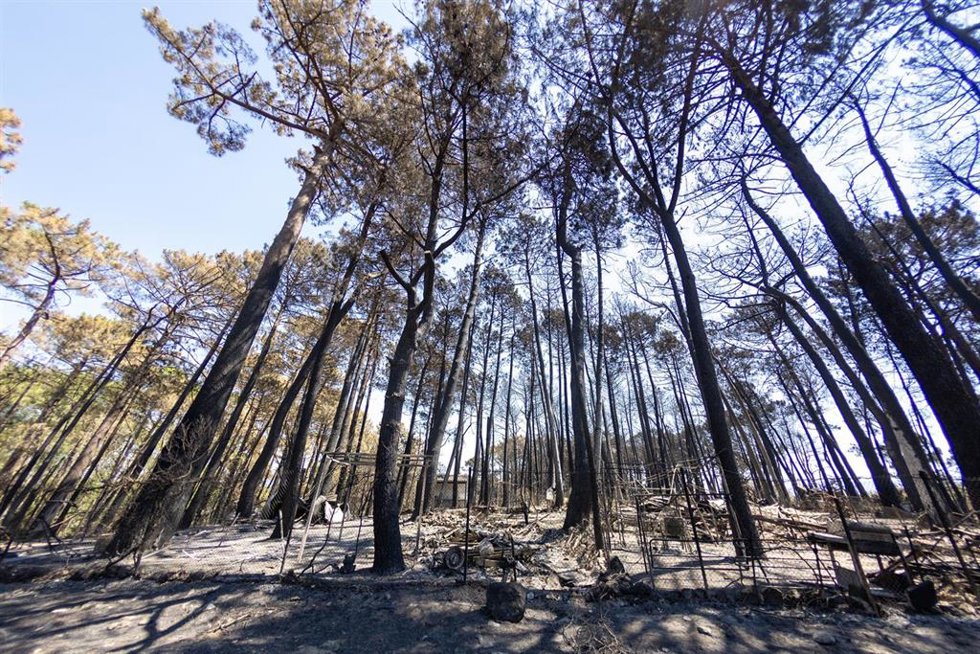 Instalaciones del camping Fuente Helecha afectadas por el fuego, a 6 de agosto de 2026, en Casavieja, Ávila, Castilla y León (España)