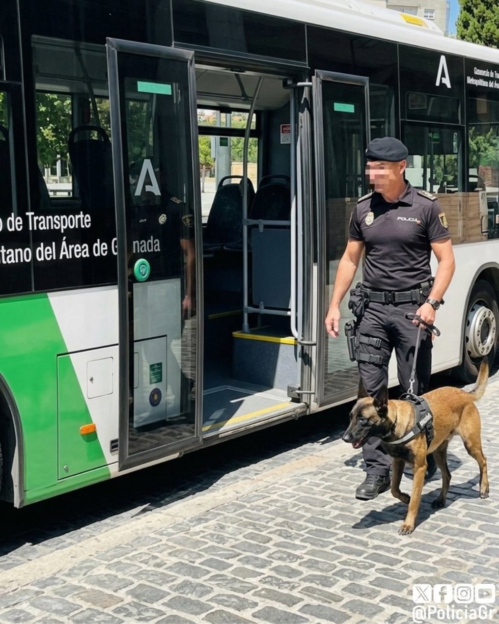 Un detenido por la Policía Local y puesto a disposición judicial tras las quejas de un usuario del autobús metropolitano por consumir hachís a bordo.