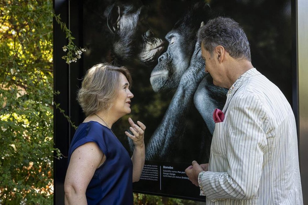La delegada de Cultura, Turismo y Deporte, Marta Rivera de la Cruz, inaugura la exposición ‘Emociones en peligro. Fotografías de Tim Flach’