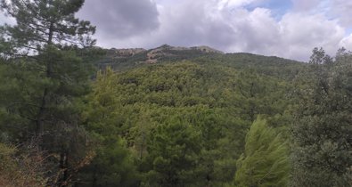 Aragón