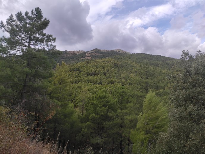 Sierra de Algairén, en la Ibérica zaragozana.