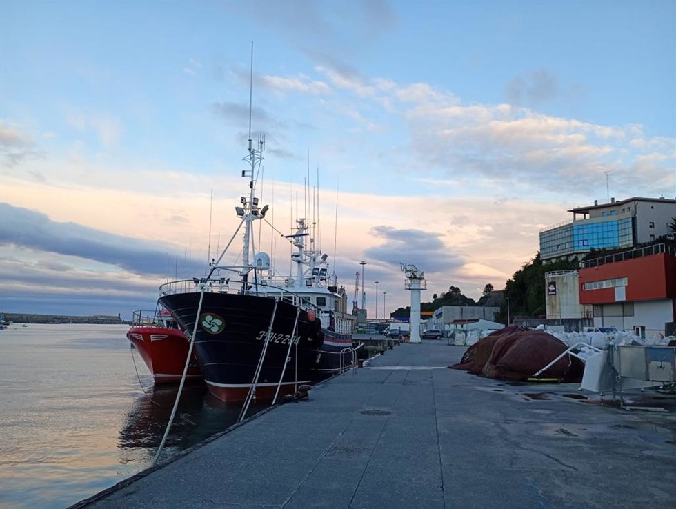 Archivo - Embarcaciones de pesca en el Puerto de Bermeo (Bizkaia)