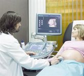 Foto: Parto prematuro e infecciones urinarias: la clave es la respuesta inmune, no las bacterias