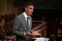 Sánchez exigeix saber per què el CENIF no va avisar Interior sobre l'informe de Ceuta
