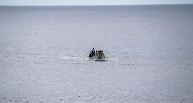 Migración