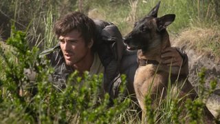 ¿Muere Jasper En La Constelación Del Perro? Así Cambia Su Destino Respecto Al Libro