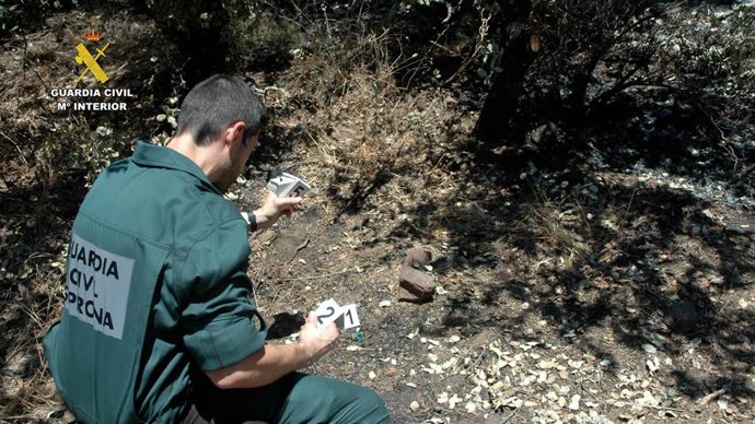 Un agente estudia la zona de un incendio.