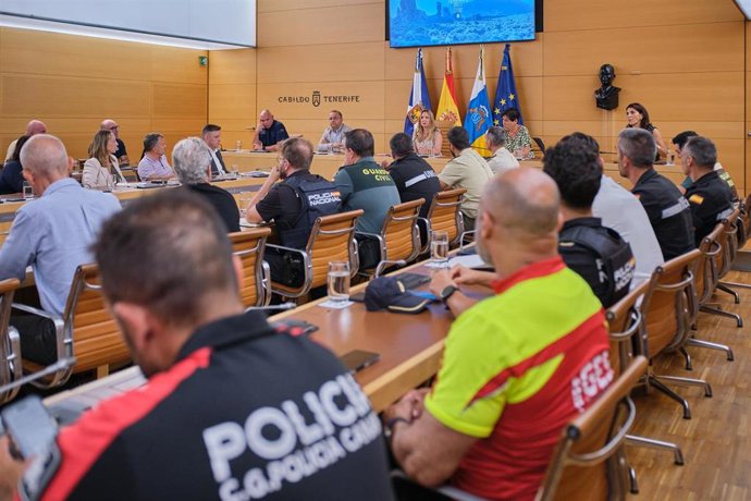 Reunión técnica en el Cabildo de Tenerife para diseñar el segundo simulacro de riesgo volcánico que se celebrará en Guía de Isora