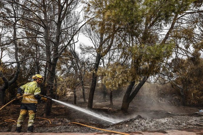 Un bombero durante las labores de extinción del incendio declarado en la Devesa de El Saler, en València. 