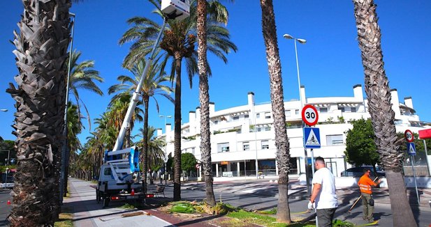 Jerez al día