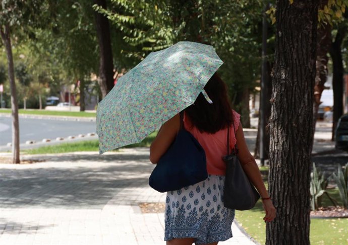 Jornada de intenso calor en Sevilla. A 03 de septiembre de 2026, en Sevilla (Andalucía, España). 