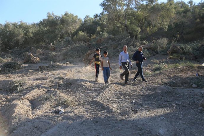 September 3, 2026, Nablus, West Bank, Palestinian Territory: Palestinians inspect olive trees uprooted during land-clearing operations carried out by Israeli bulldozers in the town of Arraba, southwest of Jenin, in the West Bank, on September 3, 2026. Loc