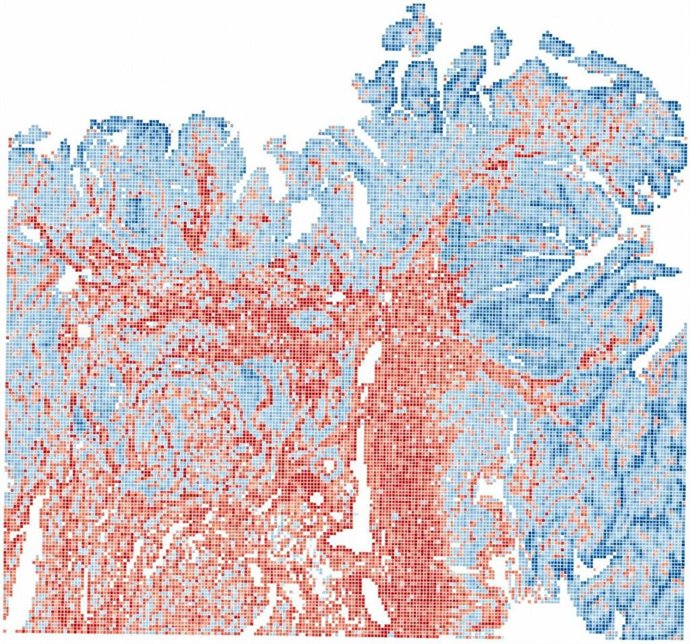 Mapa del consumo de lactato realizado con el programa.