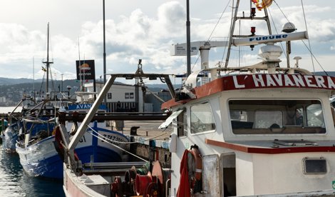 EpAgro - Pesca