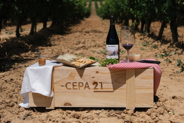 Bodegas Cepa 21
