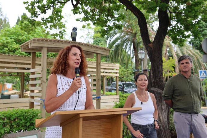 La vicepresidenta y diputada de Innovación Social y Despoblamiento de la Diputación de Málaha, Antonia Ledesma, compareciendo ante los medios.