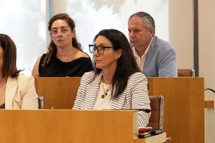 La diputada provincial del Área de Cohesión Social e Igualdad, María Encarnación Fuentes, durante una sesión plenaria