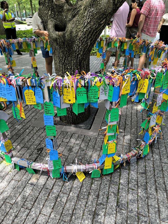 Survivor Tree