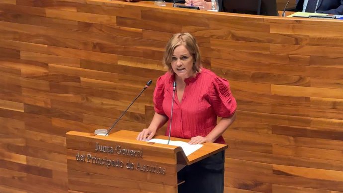 La diputada del Grupo Mixto, Covadonga Tomé.