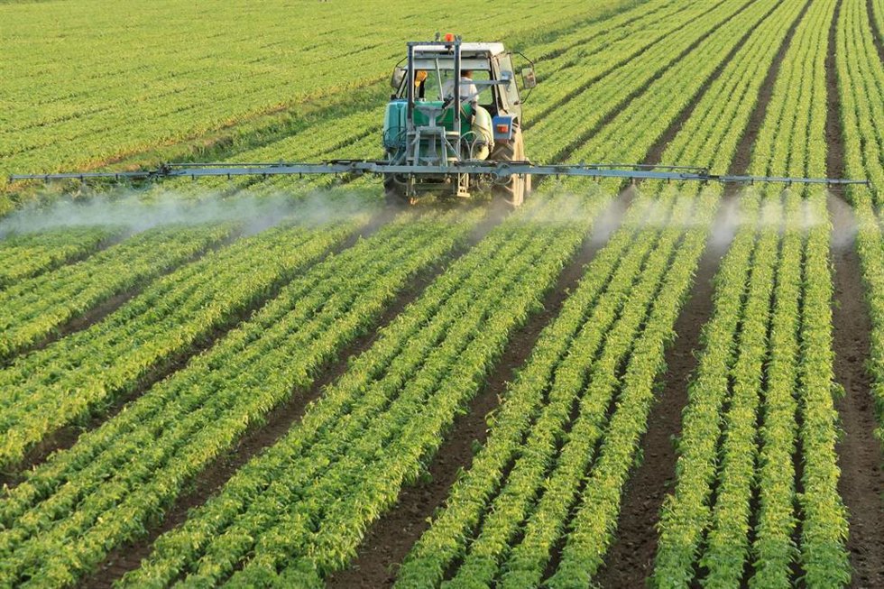 Archivo - Más de 4.000 agricultores murcianos recibirán 8,5 millones en ayudas para fertilizantes