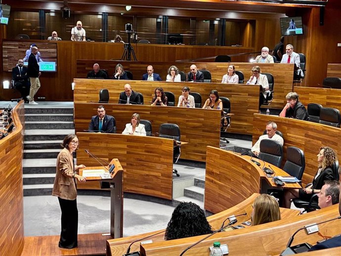 La portavoz del Grupo Parlamentario Socialista, Dolores Carcedo, interviene en el Pleno por el Día de Asturias.