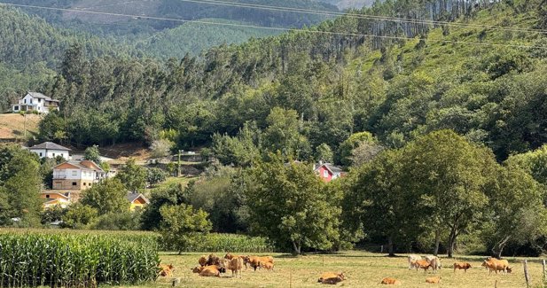Asturias Rural