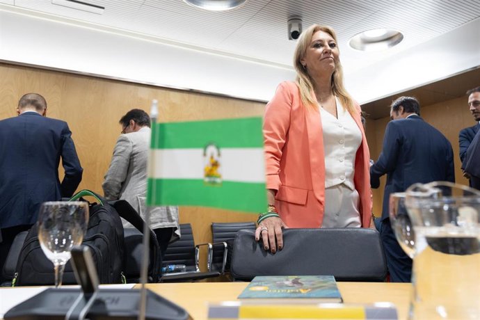 La vicepresidenta tercera y consejera de Economía, Hacienda y Fondos Europeos de la Junta de Andalucia, Carolina España (c), durante el Consejo de Política Fiscal y Financiera (CPFF) que preside en la sede del Ministerio de Hacienda, en el Edificio Cuzco,