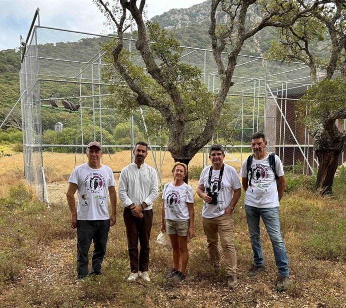 Reintroducción del buitre negro en la provincia de Cádiz.