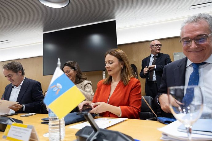 La consejera de Presidencia del Gobierno de Canarias, Lady Barreto (c), en la reunión del CPFF