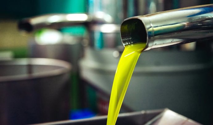 Archivo - Producción de aceite virgen extra en una almazara andaluza.