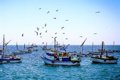 Perú.- Scotiabank destina línea de US $150 millones para el sector pesca y agrícola ante El Niño
