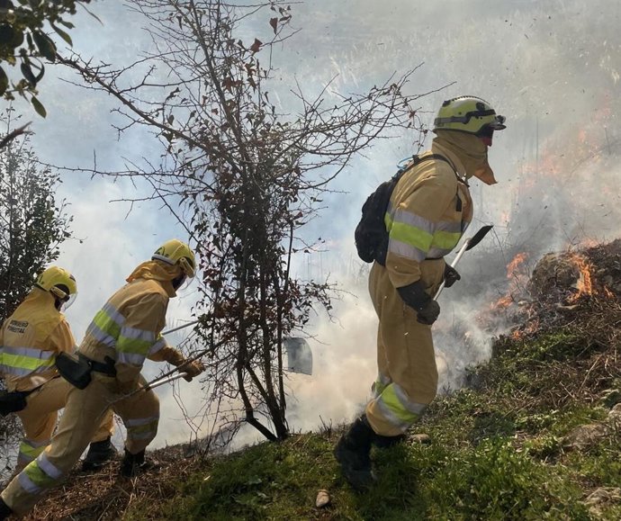 Archivo - Bomberos forestales