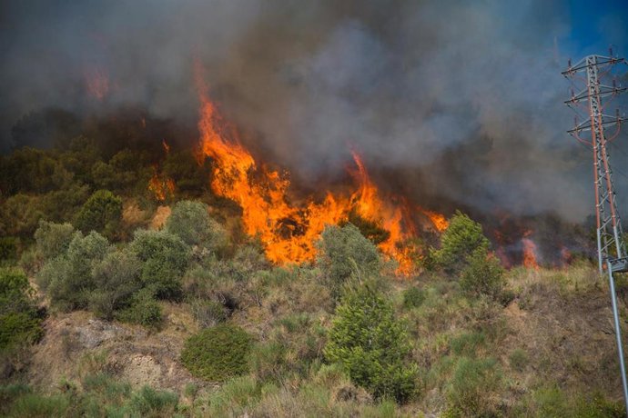 Archivo - El fuego contínua en las inmediaciones del polígono del Congost en Martorell, a 14 de julio de 2021, en Martorell, Barcelona, Catalunya (España). 