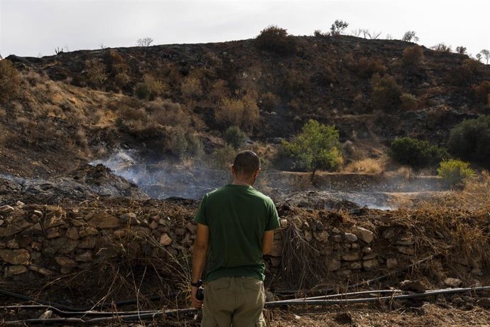 Archivo - Zonas afectadas por el incendio forestal de Los Gallardos (Almería). A 15 de julio de 2026 en Bédar, Almería (Andalucía, España).
