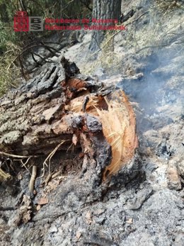 Imagen del incendio forestal de Urzainki.