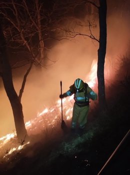 Un bombero forestal trabaja en la extinción de un incendio este sábado.