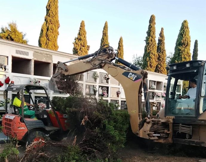 Inicio de los trabajos arqueológicos en el cementerio de Alcolea del Río para la búsqueda de la fosa común