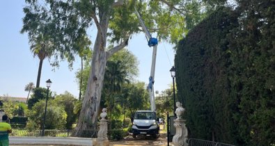 Sevilla
