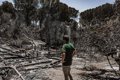 La Junta pide al Miteco que "concrete" su apoyo a la restauración tras el incendio de Burgohondo (Ávila)