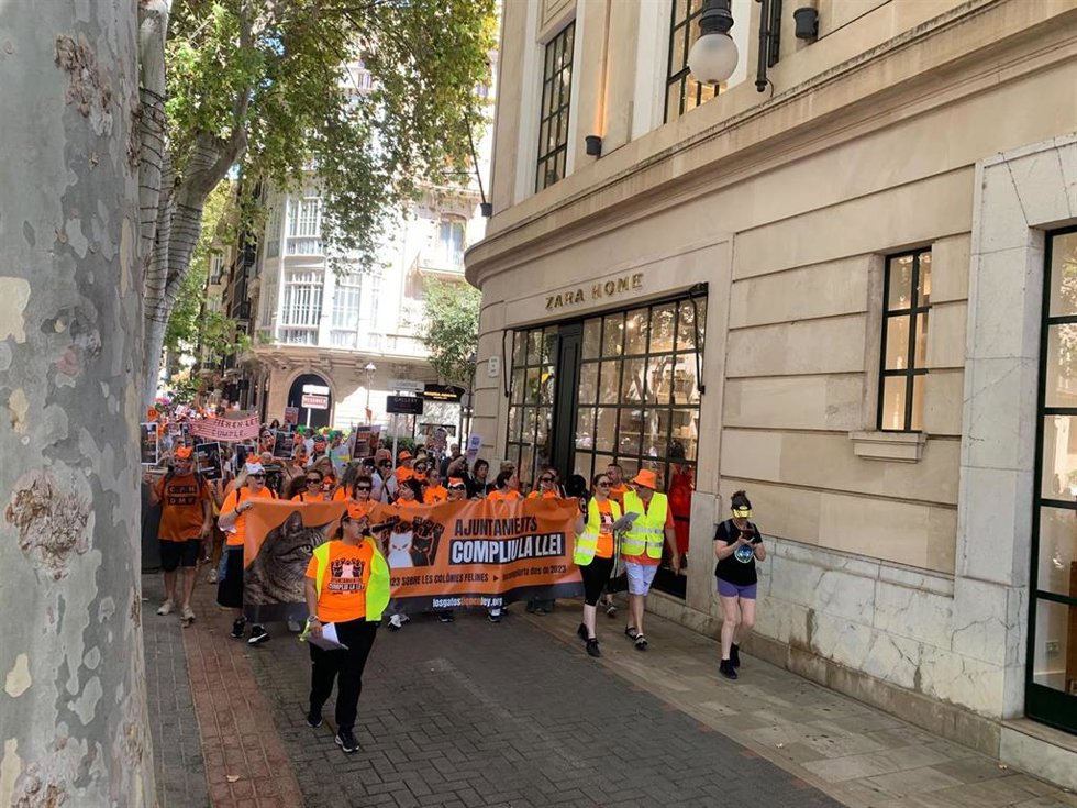 Centenares de personas recorren las calles de Palma para exigir una gestión "ética y real" de las colonias felinas