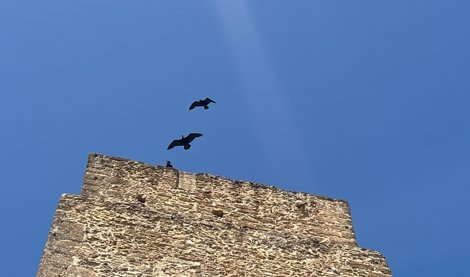 Andalucía Verde
