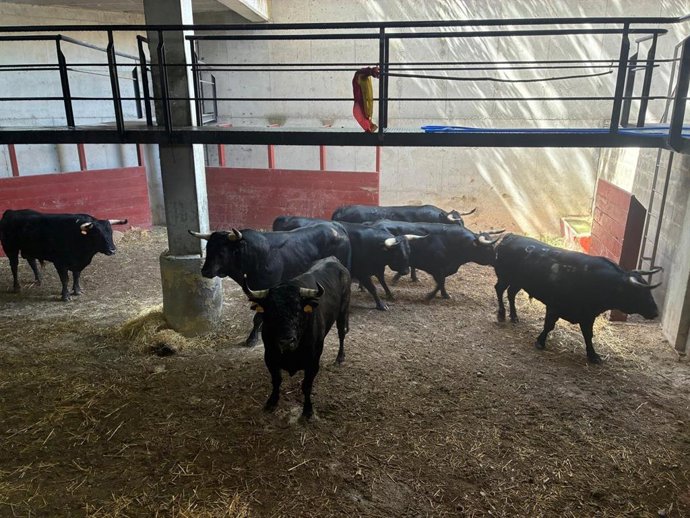 Toros de Palha.
