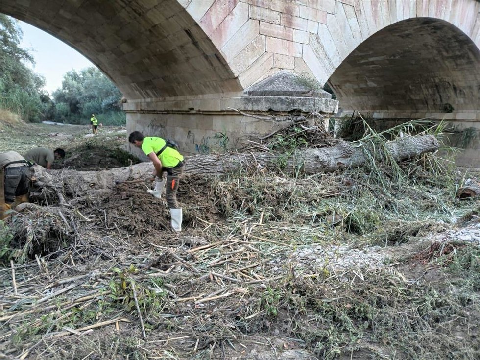 TRABAJOS DE LIMPIEZA DE CAUCES QUE SE EJECUTAN ESTOS DÍAS Y HASTA OCTUBRE EN LA VEGA DE LOS RÍOS.