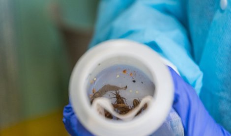 Investigación