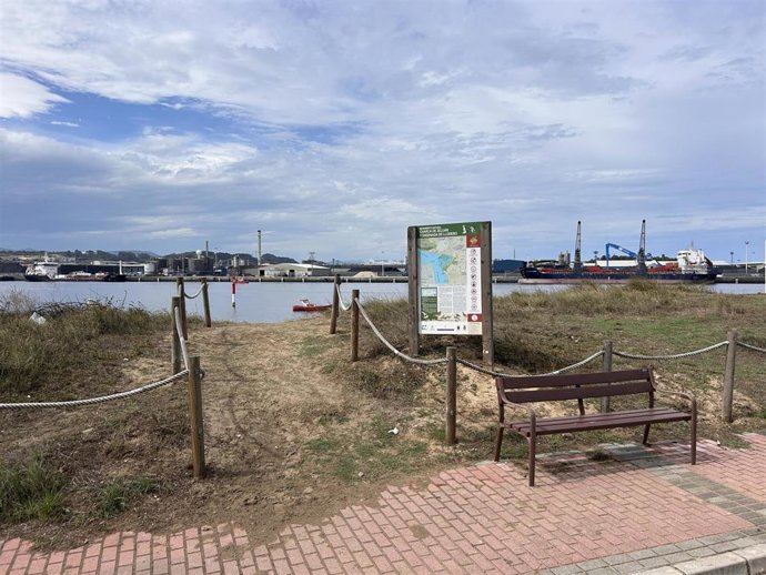 Trabajos de recuperación y protección del sistema dunar de Zeluán llevados a cabo por la Autoridad Portuaria de Avilés.