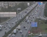 MÉS votará este miércoles a favor de limitar la entrada de vehículos en Mallorca y Vox se abstendrá